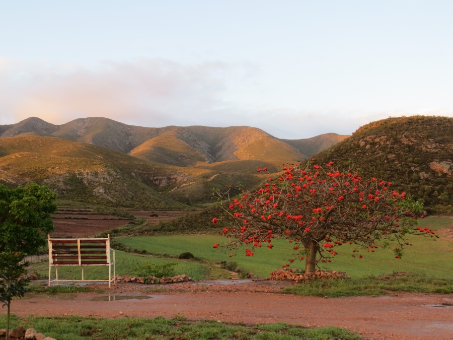 3 Bedroom Property for Sale in Joubertina Eastern Cape